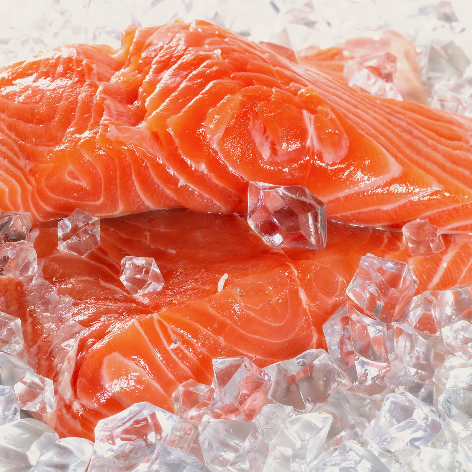 Sakhalin Salmon